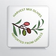 Square Icon With Olive Branch N8