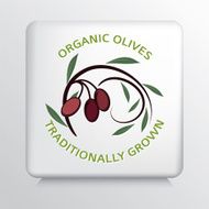 Square Icon With Olive Branch N9