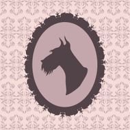 Scottish terrier N3