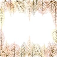 Autumn Frame N53