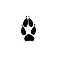 fox footprint