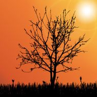 Vector silhouette of tree N34