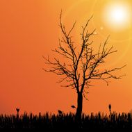 Vector silhouette of tree N35