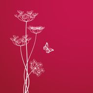 Dill blossom