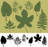 Leaf Collection N3