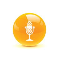 microphone icon web N19