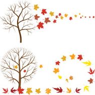 Autumn Tree N51