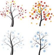 Fall and winter trees