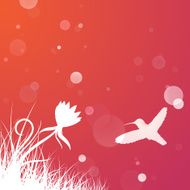 Hummingbird Background