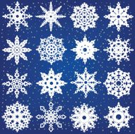 Set of snowflakes N17