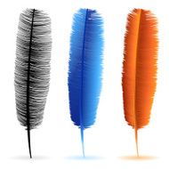 Feathers N45