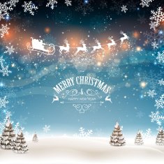 Vector Christmas Greeting Card N18