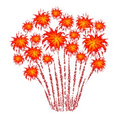 Firework N17