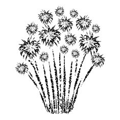 Firework N18