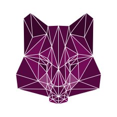 polygonal abstract wolf isolated on a white background N2