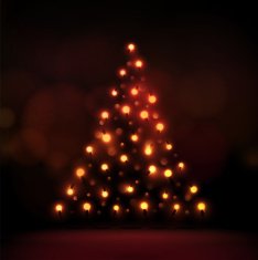 christmas tree N281