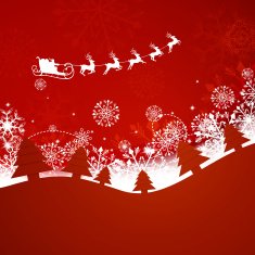 Vector Christmas Greeting Card N20