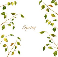 illustration with branches drawing by watercolor N2
