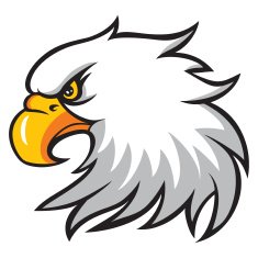 Eagle Head N16