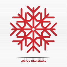 Snowflake N70