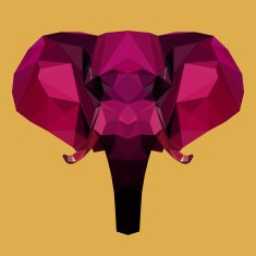 bright colored abstract geometric polygonal elephant background N3