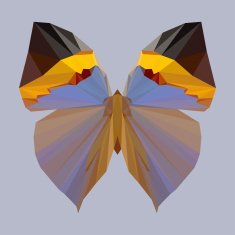polygonal abstract geometric butterfly background N2