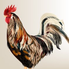 Vector realistic cock