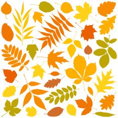 autumn leaves N92