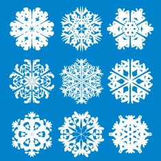 Snowflake icon Winter theme snowflakes of different shapes N29