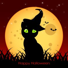 cat with big eyes against a full moon