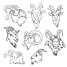 Set of goat hand drawn vector illustration N2