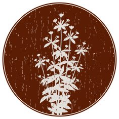 Abstract Composition With Oregano Flowers