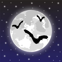 bats on the background of full moon N2
