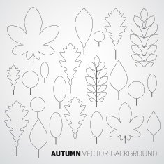 Autumn abstract floral background pattern thin line vector