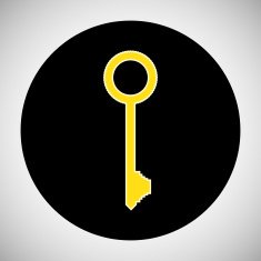 Key Icon N28