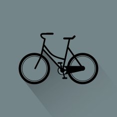 Bicycle N51