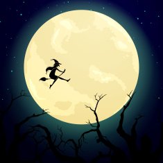Vector Halloween Background N82