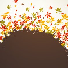vector autumn background N11