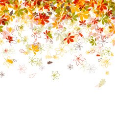 Vector autumn leaves N21