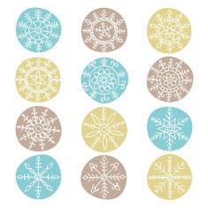 snowflake set N21