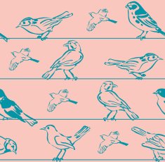 Seamless Set Bird Sketchs N2