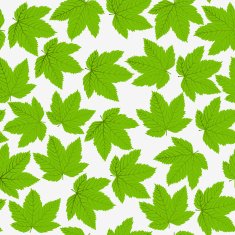 Seamless pattern leafs