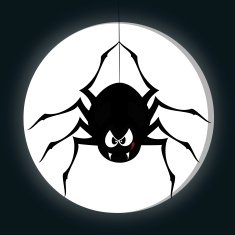Funny freaky spider N2