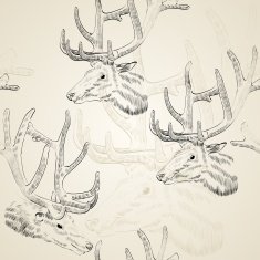 Sketch deer N4