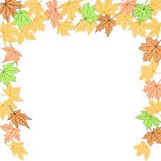 Autumn border N2