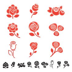 Roses N87