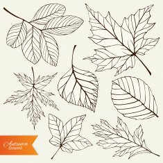 Vector set of autumn leaves silhouettes N3