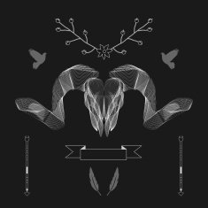 Abstract animal background line art Skull Antlers Vector Isolated N7