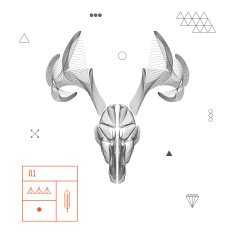Abstract animal background line art Skull Antlers Vector Isolated N8