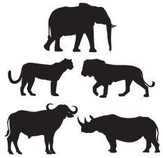 Africa's Big Five